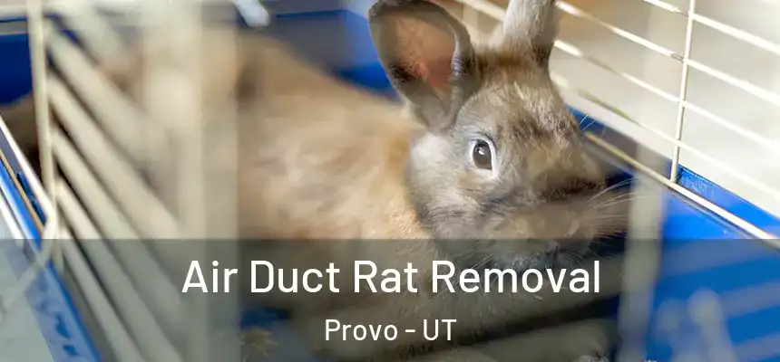  Air Duct Rat Removal Provo - UT