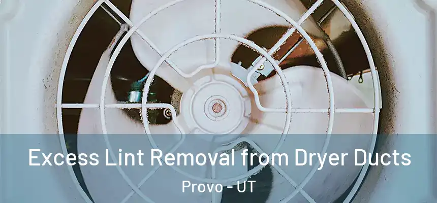  Excess Lint Removal from Dryer Ducts Provo - UT
