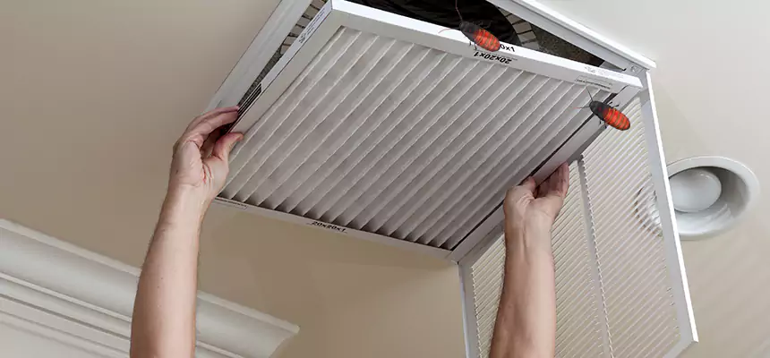 Preventive Cockroach-Proofing for Ducts in Provo