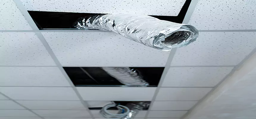 Affordable HVAC Sanitizing After Pest Removal in Provo