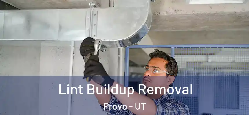  Lint Buildup Removal Provo - UT
