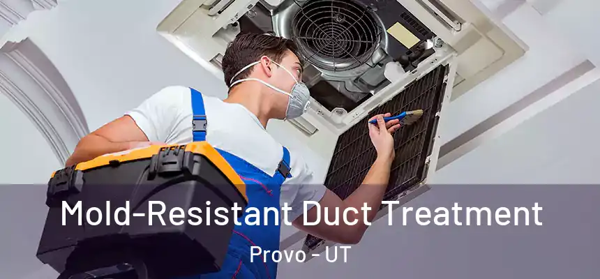  Mold-Resistant Duct Treatment Provo - UT