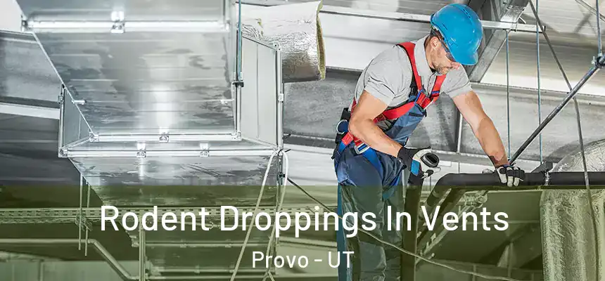  Rodent Droppings In Vents Provo - UT