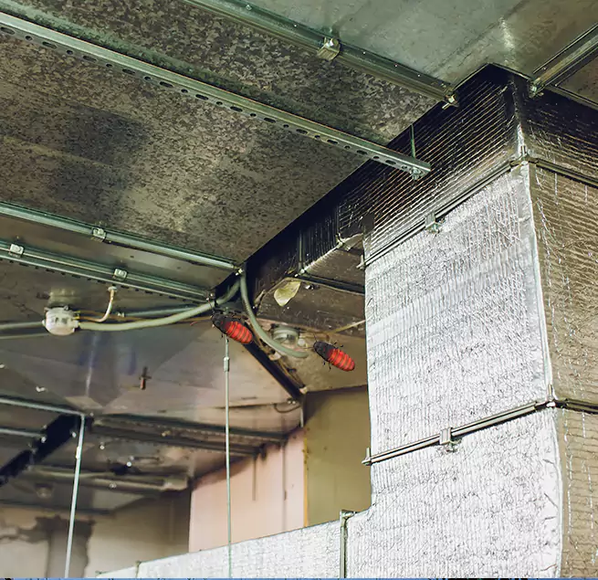 Why Homeowners & Businesses Trust Us in Provo, UT?