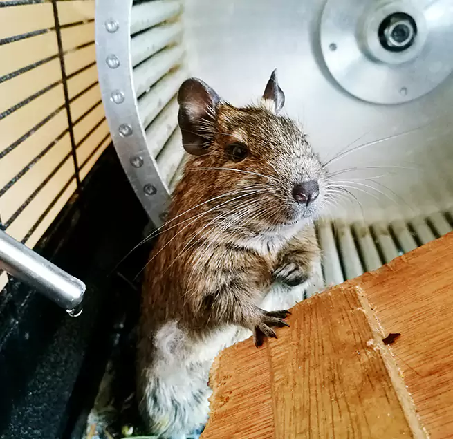 Why Homeowners & Businesses Trust Us Provo, UT?