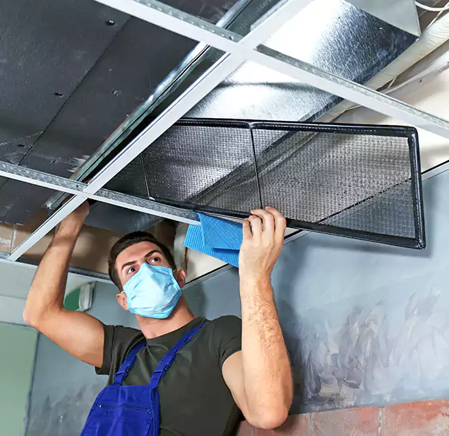 Why Homeowners Businesses Trust Us in Provo, UT