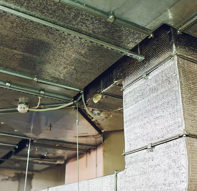 Why Homeowners & Businesses Trust Us in Provo, UT?